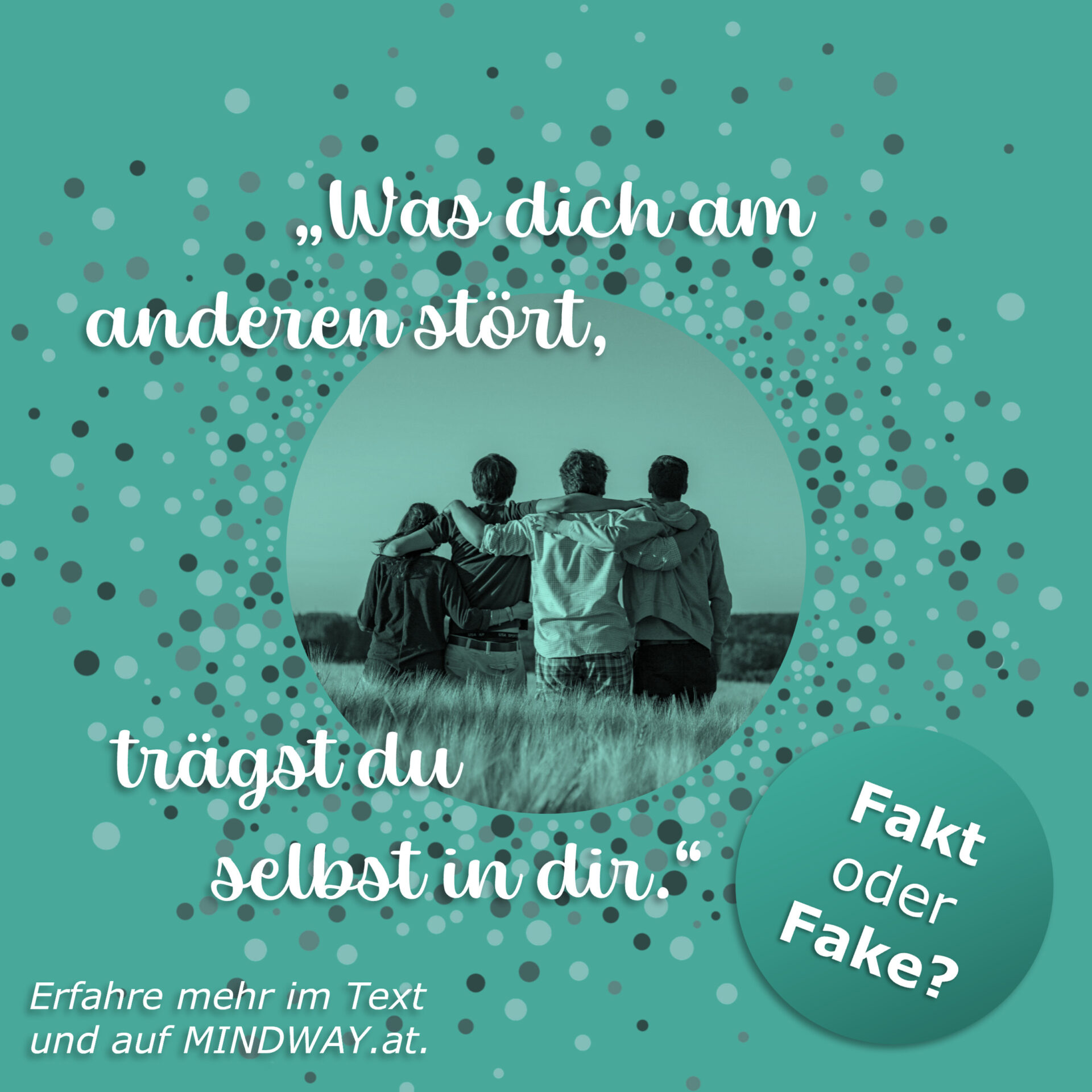 FoF_Spiegel